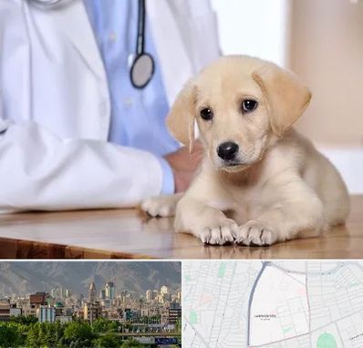 بیمارستان دامپزشکی در جمشیدیه