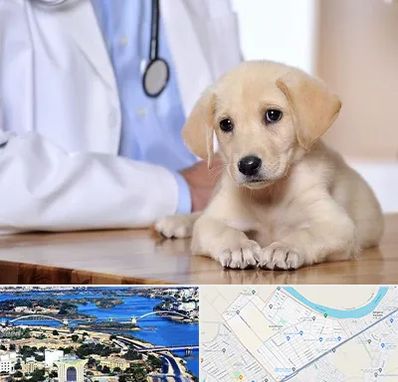 بیمارستان دامپزشکی در کوروش اهواز