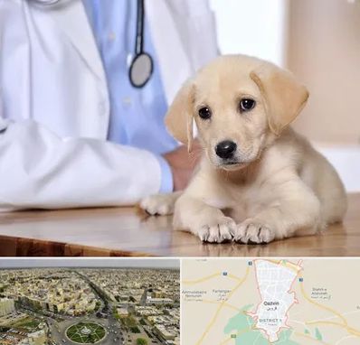 بیمارستان دامپزشکی در قزوین