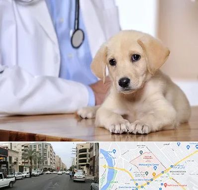 بیمارستان دامپزشکی در زیتون کارمندی اهواز