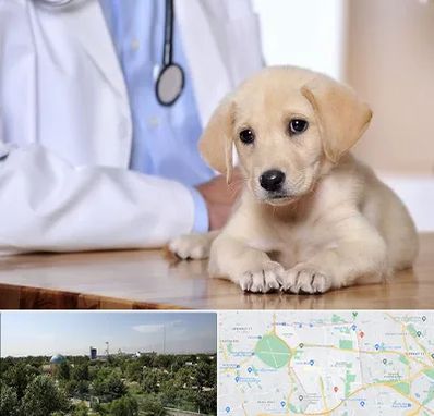 بیمارستان دامپزشکی در منطقه 16 تهران