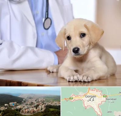 بیمارستان دامپزشکی در گرگان