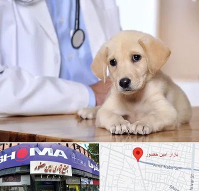 بیمارستان دامپزشکی در امین حضور