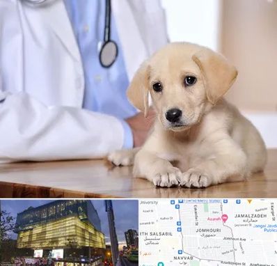 بیمارستان دامپزشکی در جمهوری