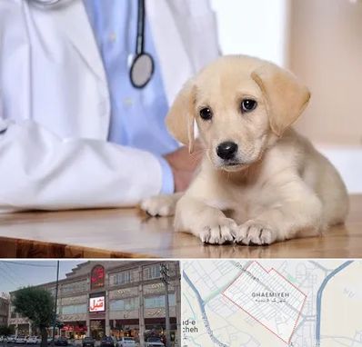 بیمارستان دامپزشکی در قائمیه اسلامشهر