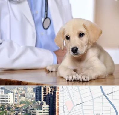 بیمارستان دامپزشکی در خیابان بهشتی