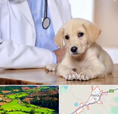 بیمارستان دامپزشکی در نکا