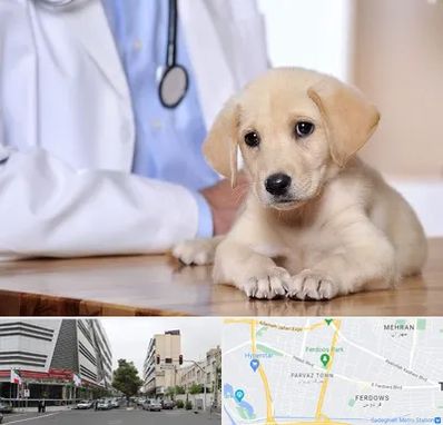 بیمارستان دامپزشکی در بلوار فردوس 