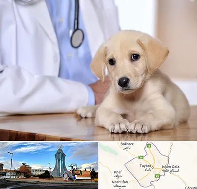 بیمارستان دامپزشکی در تایباد
