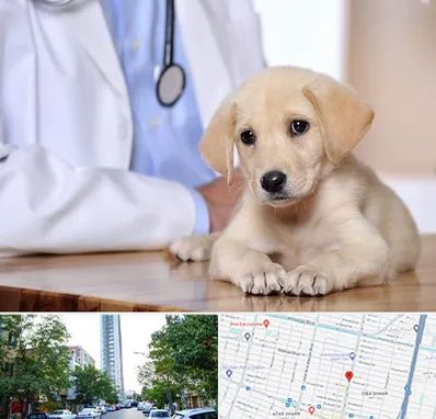 بیمارستان دامپزشکی در امامت مشهد