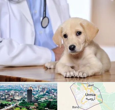 بیمارستان دامپزشکی در ارومیه