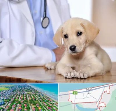 بیمارستان دامپزشکی در نور