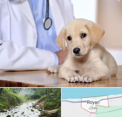 بیمارستان دامپزشکی در رویان