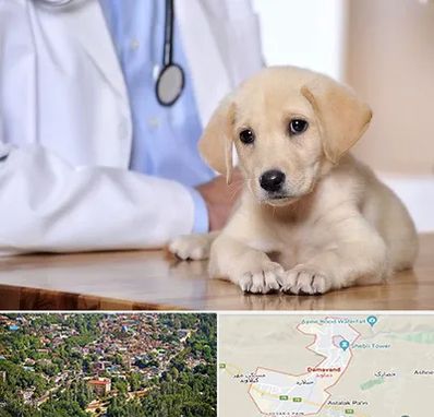 بیمارستان دامپزشکی در دماوند