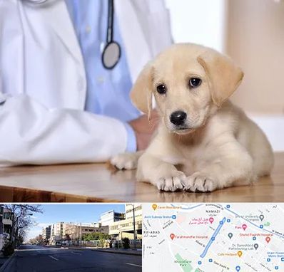 بیمارستان دامپزشکی در خیابان ملاصدرا شیراز