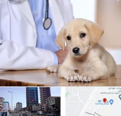 بیمارستان دامپزشکی در چهارراه طالقانی کرج