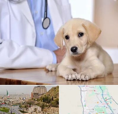 بیمارستان دامپزشکی در فرهنگ شهر شیراز