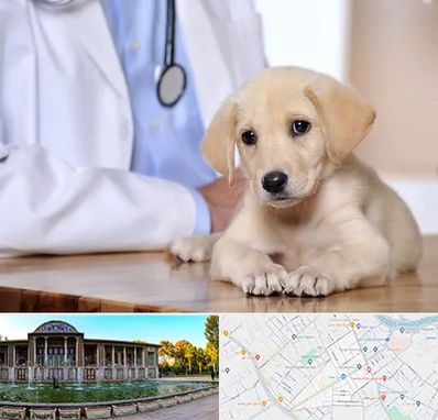 بیمارستان دامپزشکی در عفیف آباد شیراز