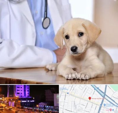 بیمارستان دامپزشکی در آبرسان تبریز