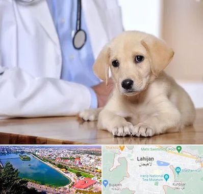 بیمارستان دامپزشکی در لاهیجان
