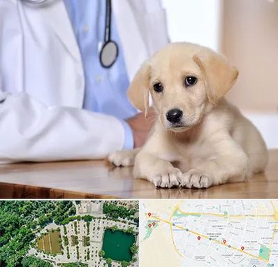 بیمارستان دامپزشکی در وکیل آباد مشهد