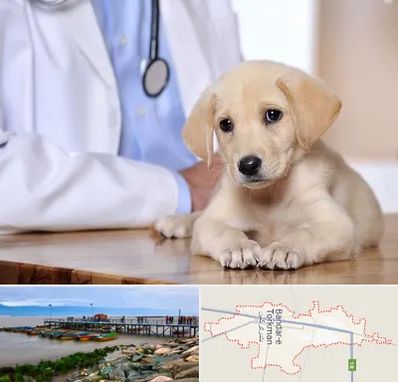 بیمارستان دامپزشکی در بندر ترکمن