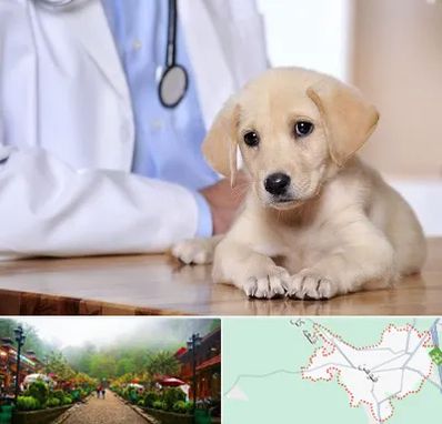 بیمارستان دامپزشکی در فومن