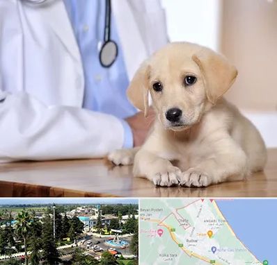 بیمارستان دامپزشکی در رودسر