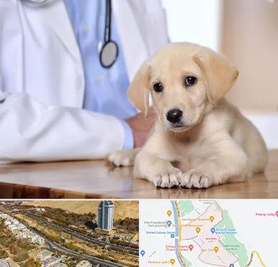 بیمارستان دامپزشکی در خیابان نیایش شیراز