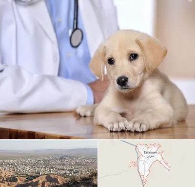 بیمارستان دامپزشکی در اسفراین
