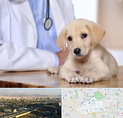 بیمارستان دامپزشکی در منطقه 19 تهران