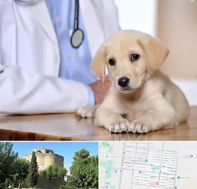 بیمارستان دامپزشکی در مرداویج اصفهان