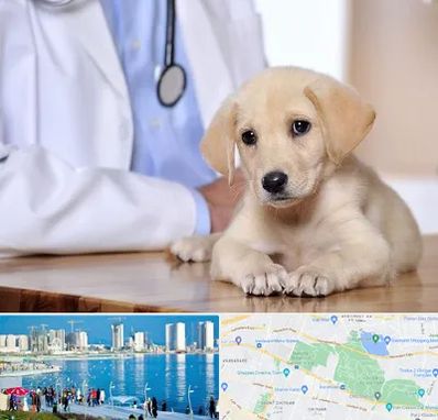 بیمارستان دامپزشکی در چیتگر 