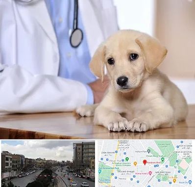 بیمارستان دامپزشکی در بلوار فردوسی مشهد