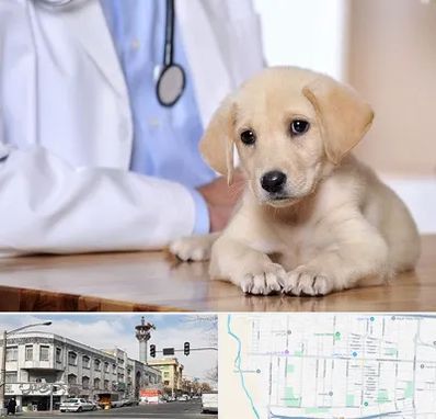 بیمارستان دامپزشکی در 17شهریور