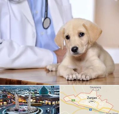 بیمارستان دامپزشکی در زنجان