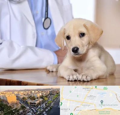 بیمارستان دامپزشکی در تهرانپارس 