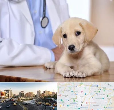 بیمارستان دامپزشکی در منطقه 7 تهران