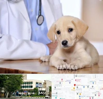 بیمارستان دامپزشکی در طالقانی