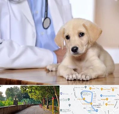 بیمارستان دامپزشکی در فلکه گاز رشت