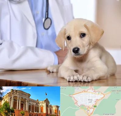 بیمارستان دامپزشکی در خوی