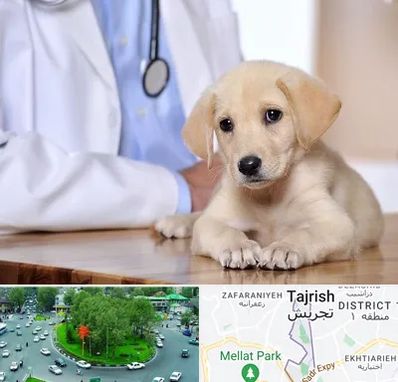 بیمارستان دامپزشکی در تجریش 