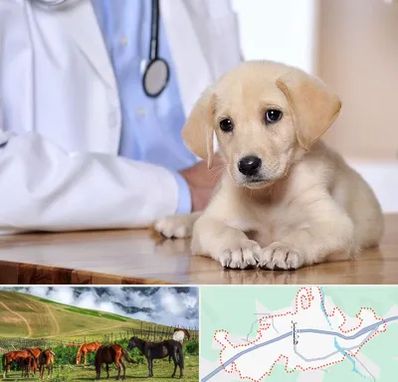 بیمارستان دامپزشکی در تالش