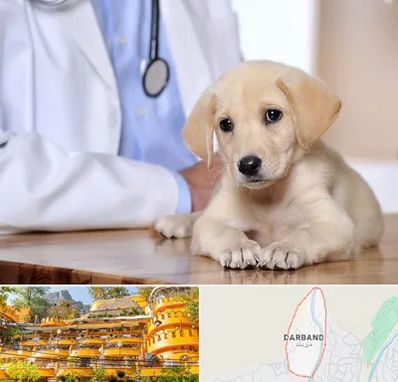 بیمارستان دامپزشکی در دربند