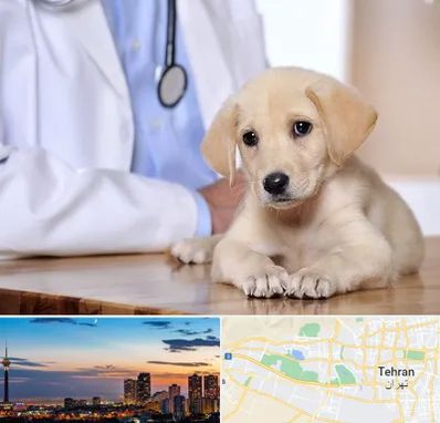بیمارستان دامپزشکی در غرب تهران 