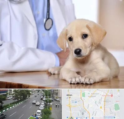 بیمارستان دامپزشکی در ستارخان 