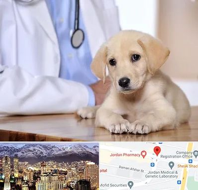 بیمارستان دامپزشکی در جردن