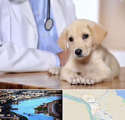 بیمارستان دامپزشکی در خرمشهر