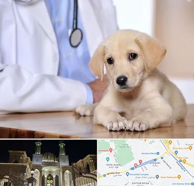 بیمارستان دامپزشکی در زرگری شیراز