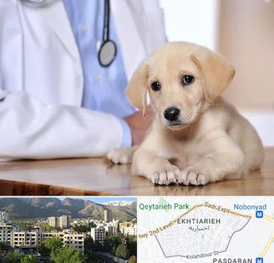 بیمارستان دامپزشکی در اختیاریه